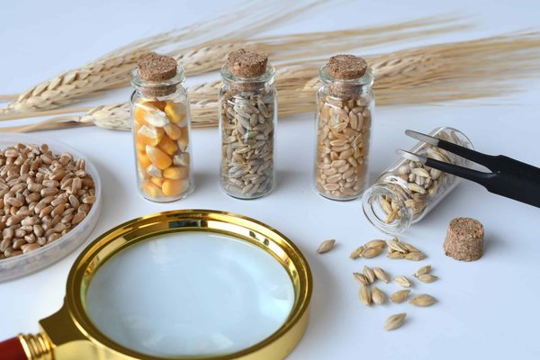 Les nouvelles réglementations à connaître pour souscrire une assurance